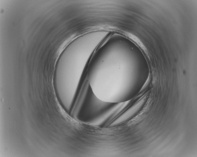 X0000073890946200608111101