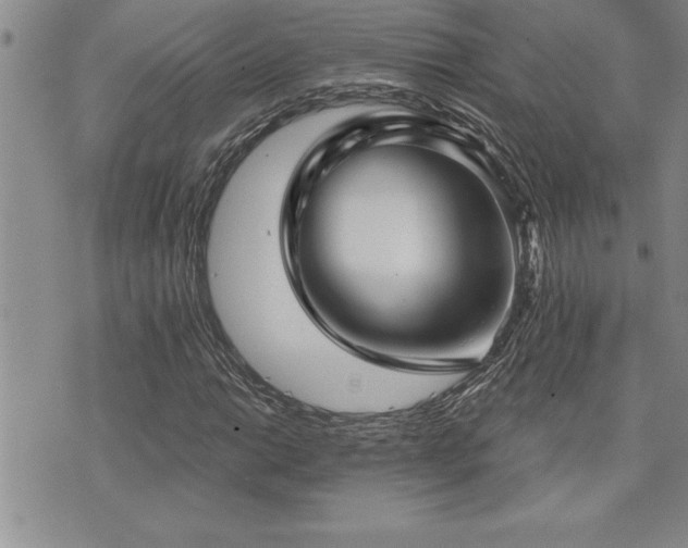 X0000073891014200608111059