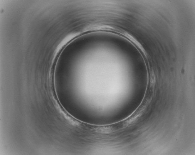 X0000073891053200608111100