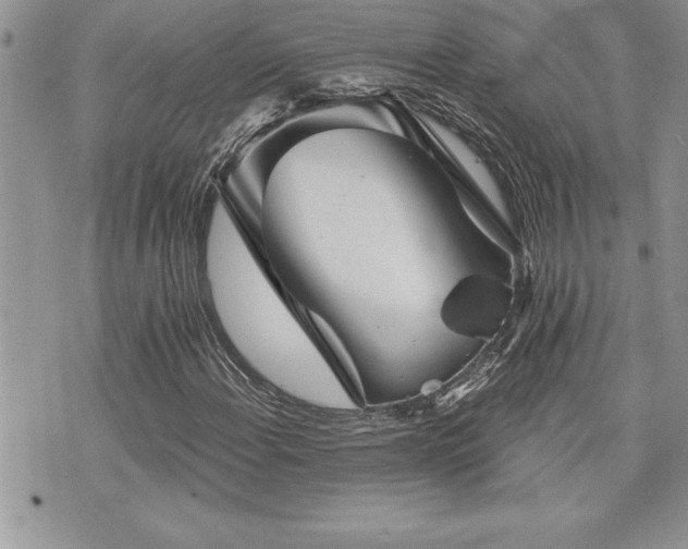 X0000073891108200608111058