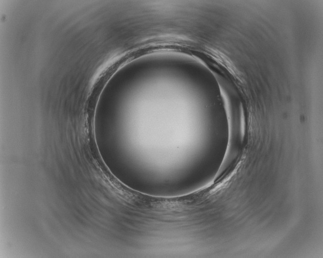 X0000073891164200608111057