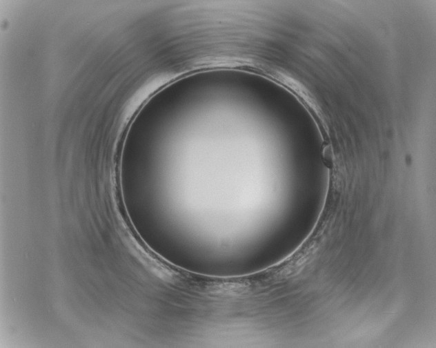 X0000073891187200608111057