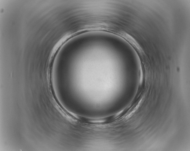X0000073891196200608111057