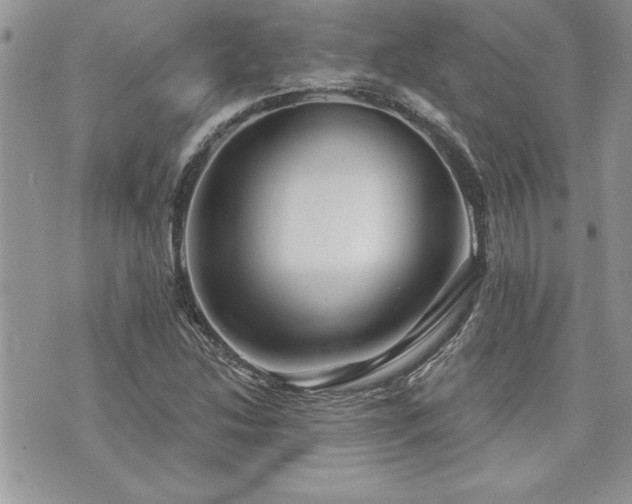 X0000073891214200608111056