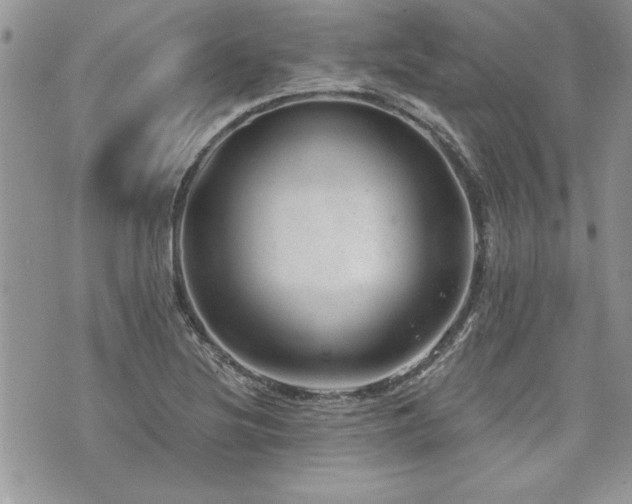 X0000073891220200608111056