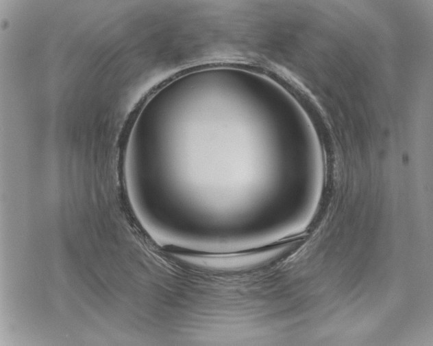 X0000073891222200608111056