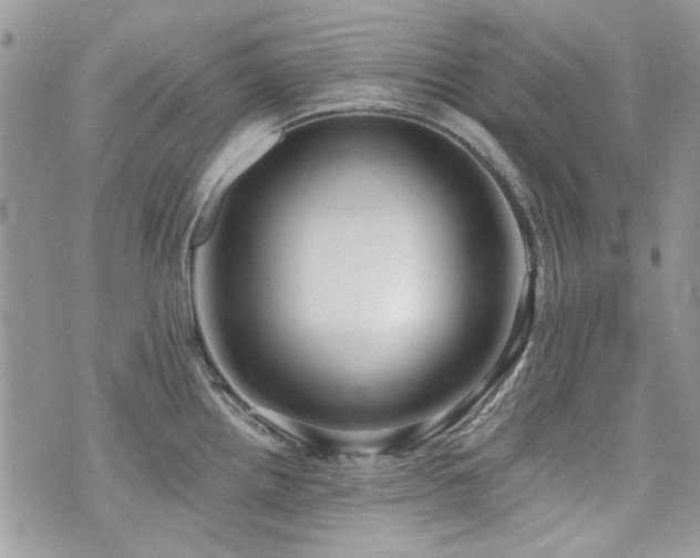 X0000073891242200608111057