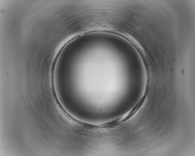 X0000073891246200608111057