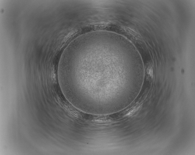 X0000073891252200608111056