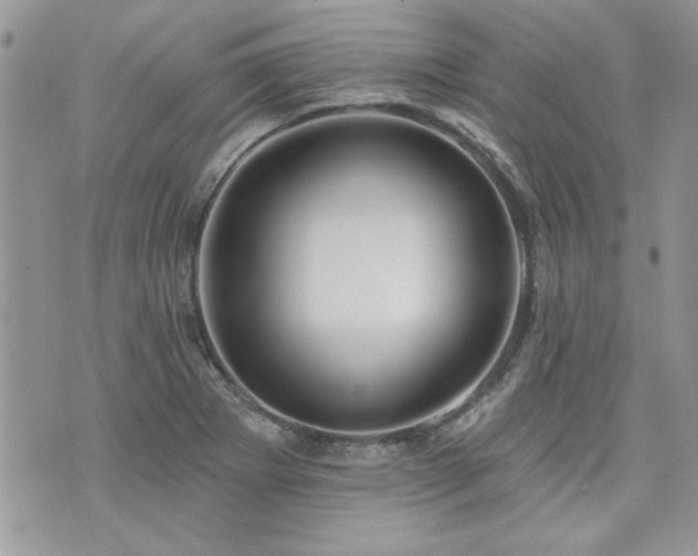 X0000073891273200608111056