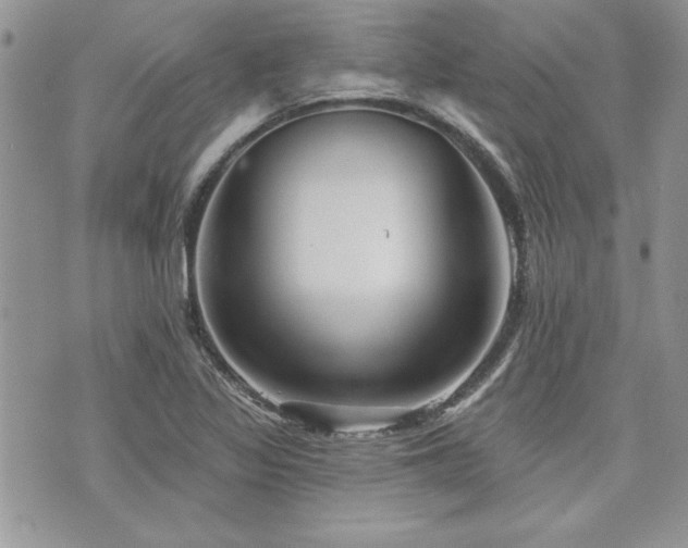 X0000073891317200608111055