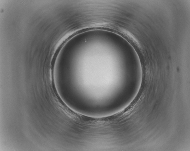 X0000073891324200608111055