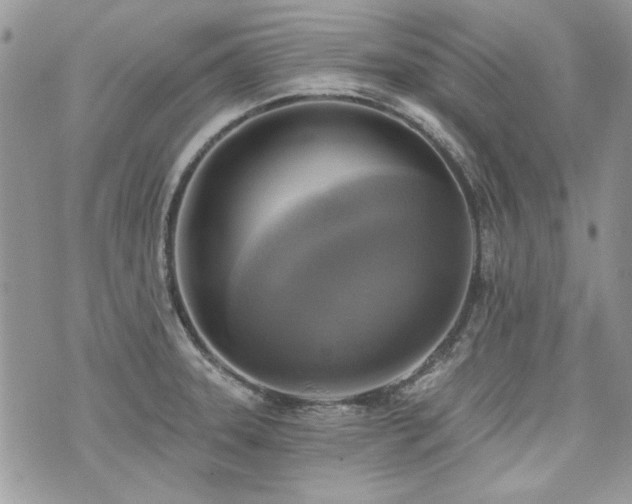 X0000073891331200608111055