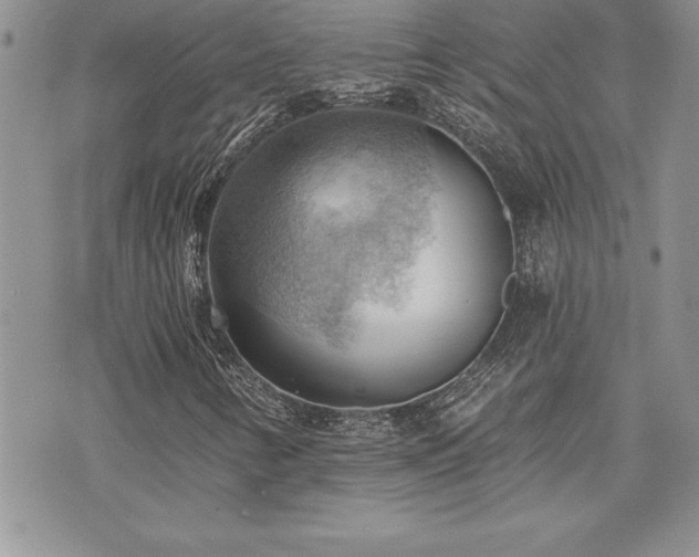 X0000073891346200608111055