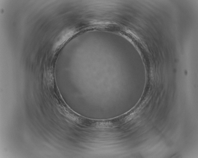 X0000073891354200608111054