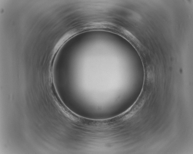 X0000073891370200608111054