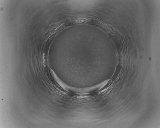 X0000073891394200608111053