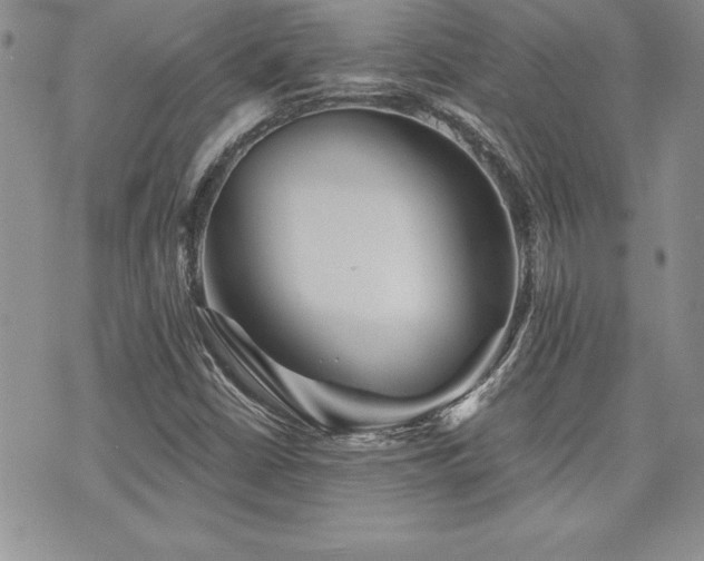 X0000073891402200608111053