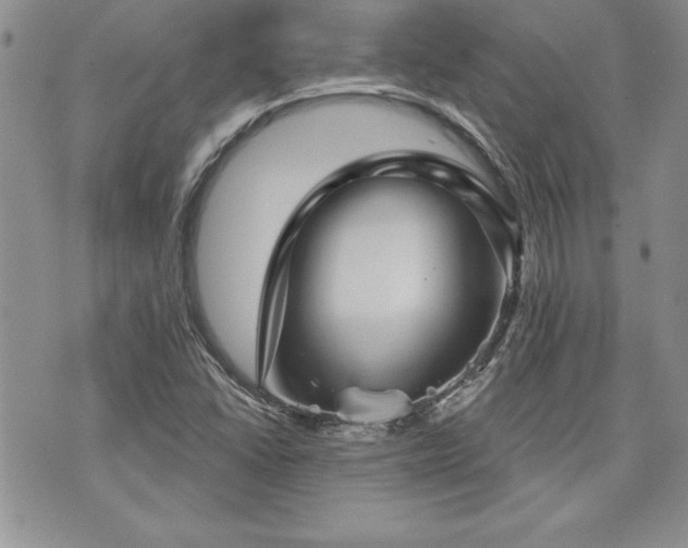 X0000073891406200608111053