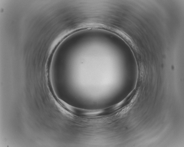 X0000073891430200608111054