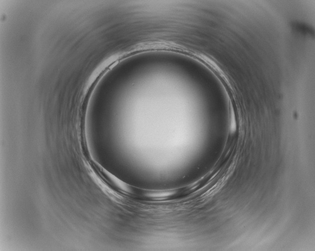 X0000073891438200608111054