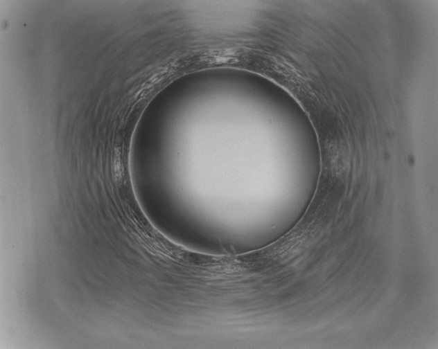 X0000073891442200608111053