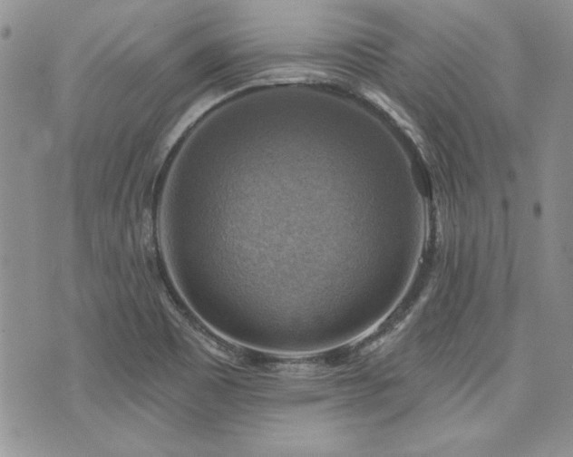 X0000073891465200608111053