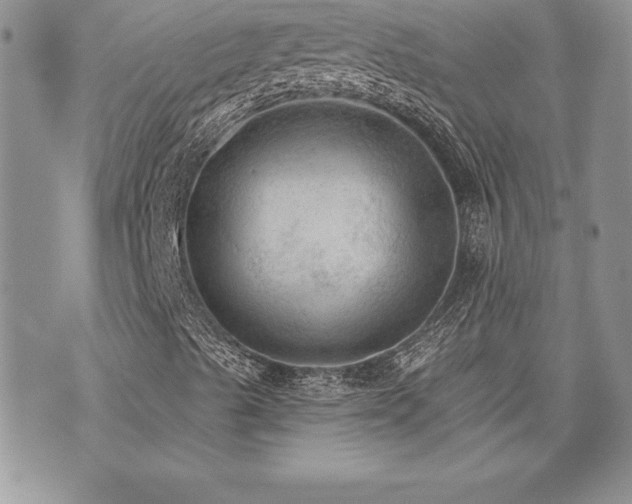 X0000073891489200608111051