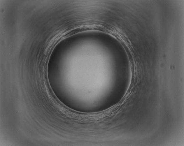 X0000073890001200608180945