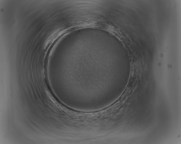 X0000073890002200608180945