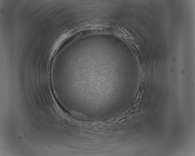 X0000073890003200608180945