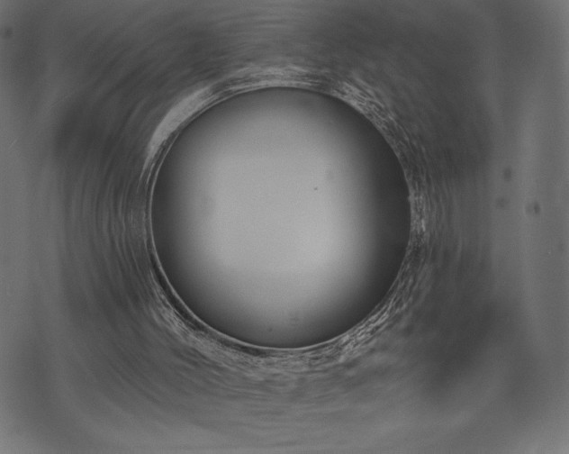 X0000073890004200608180945