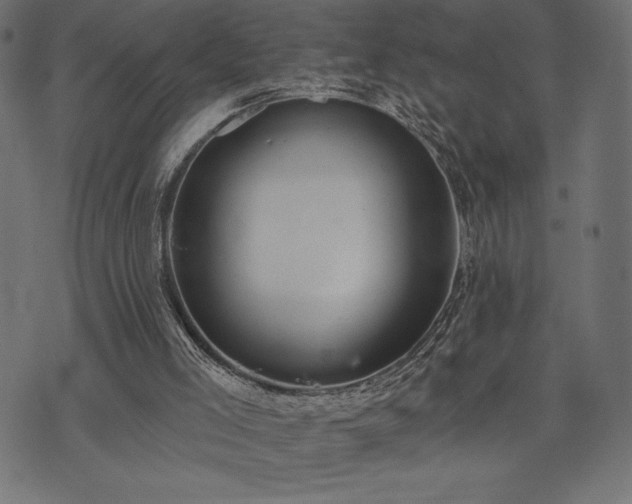 X0000073890005200608180945