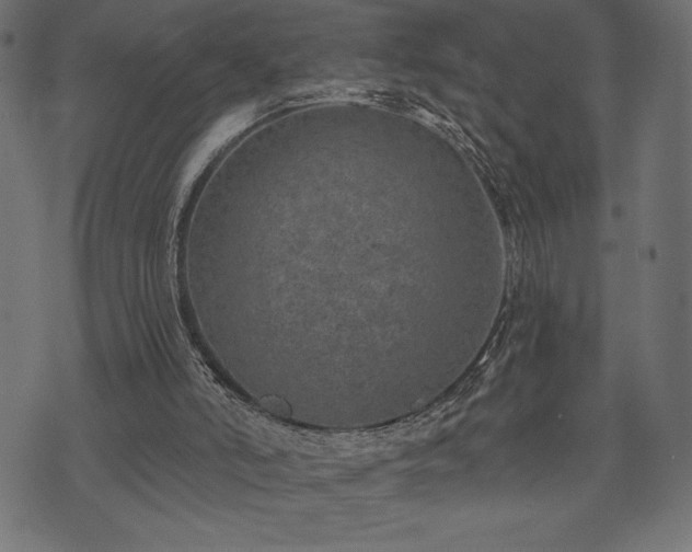 X0000073890006200608180945