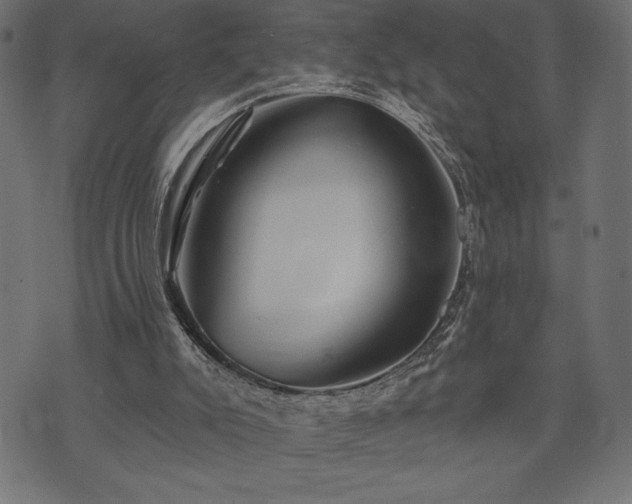 X0000073890007200608180945