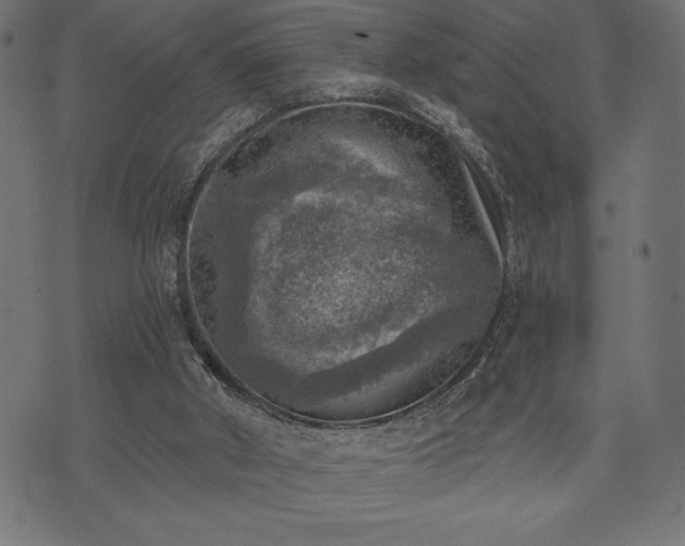 X0000073890010200608180945