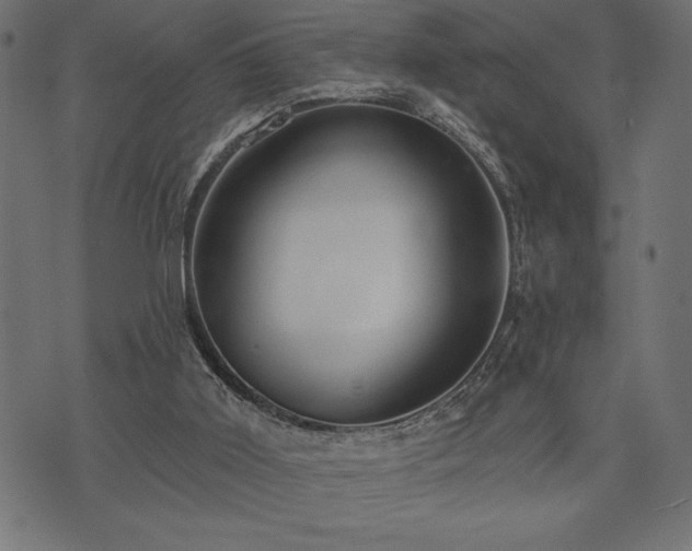 X0000073890011200608180945