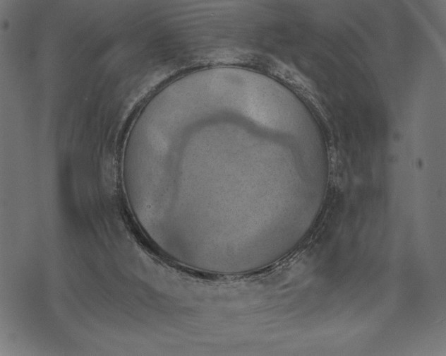 X0000073890012200608180945