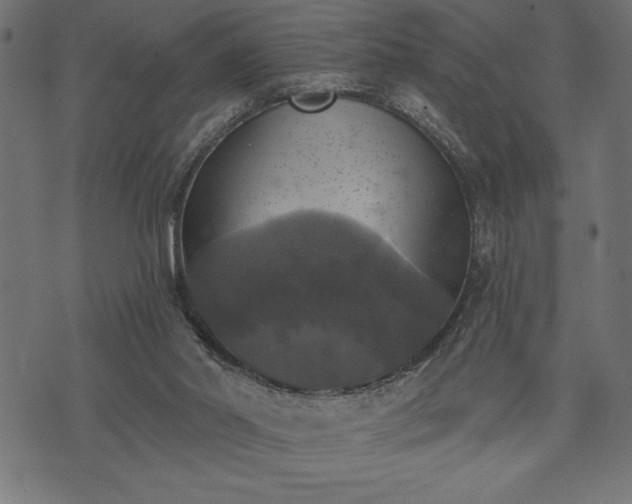 X0000073890014200608180945