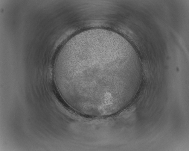 X0000073890016200608180945