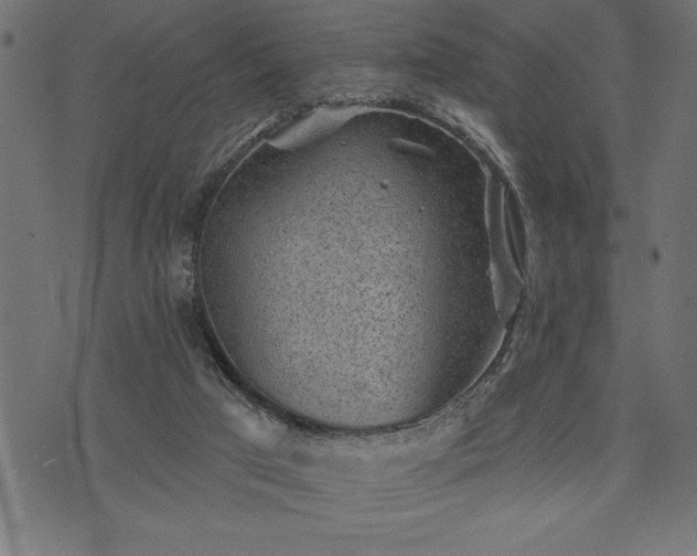 X0000073890017200608180945