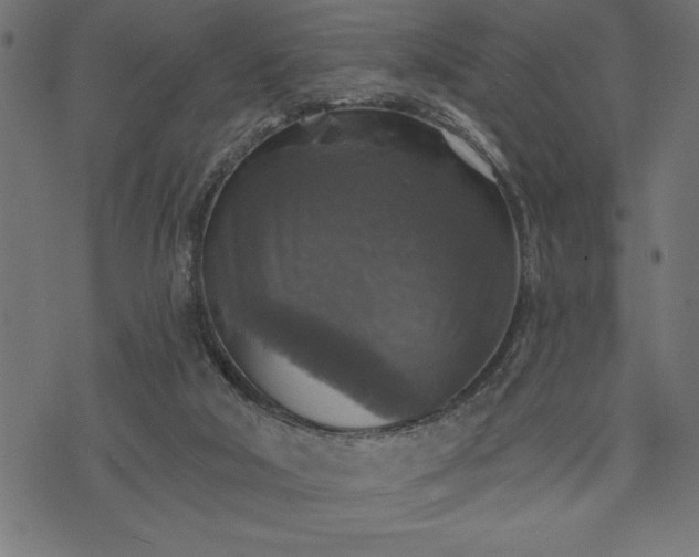 X0000073890018200608180945