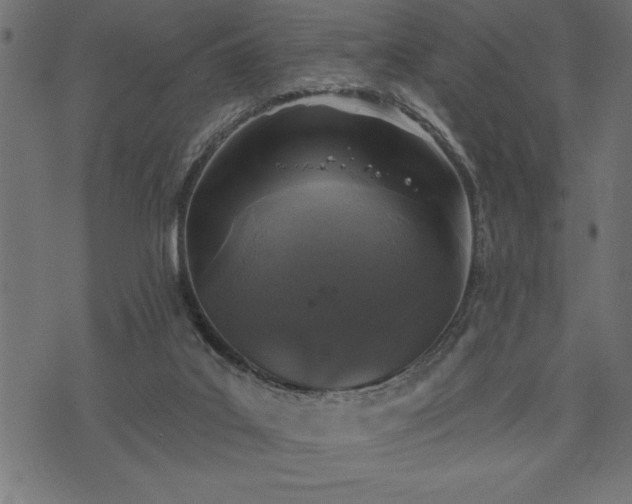 X0000073890019200608180945