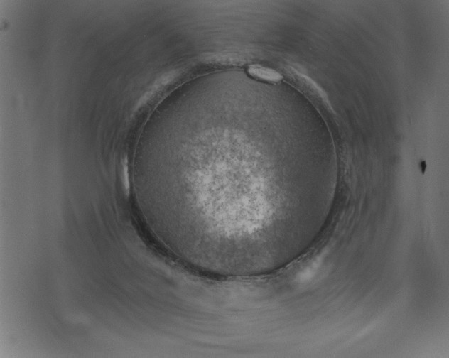 X0000073890020200608180945