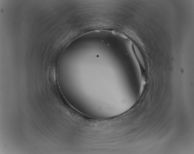 X0000073890021200608180945