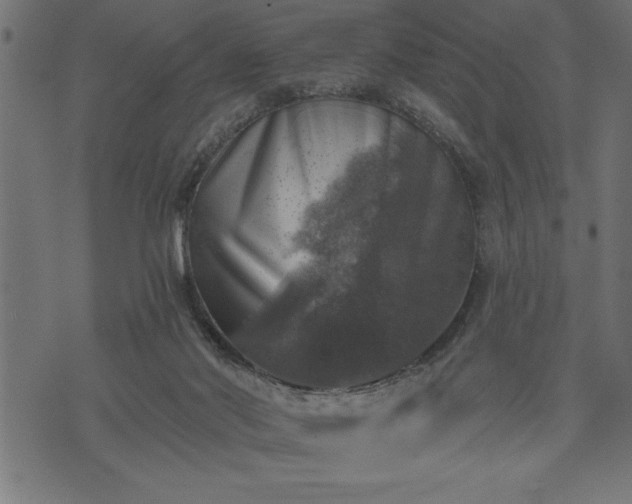 X0000073890022200608180945