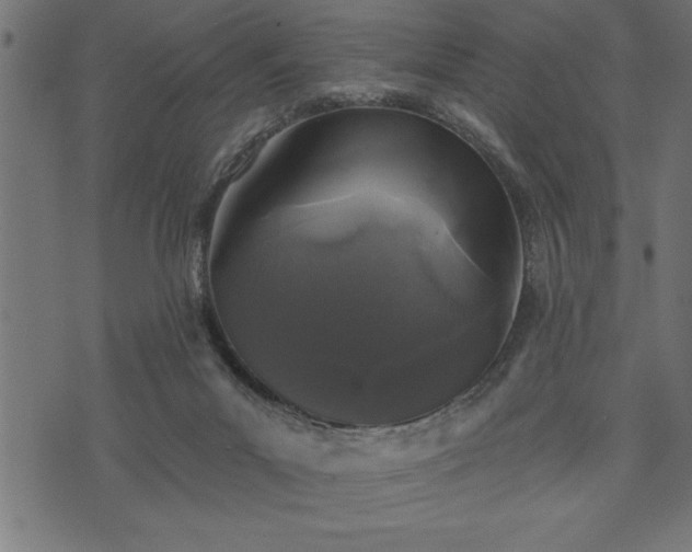 X0000073890023200608180945