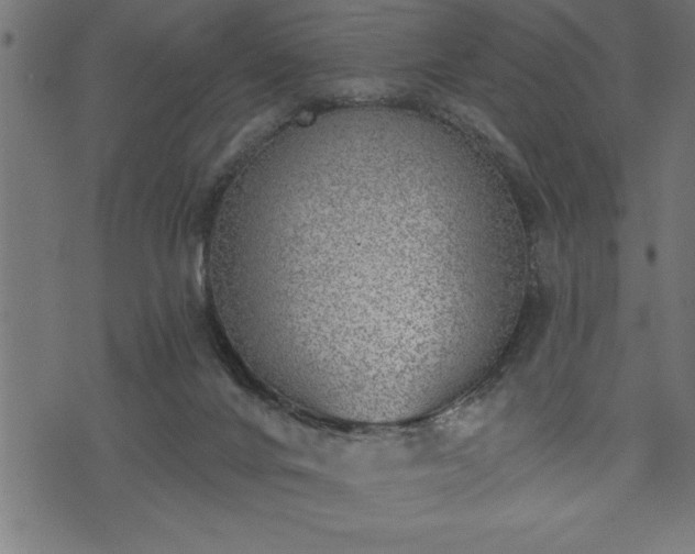 X0000073890024200608180945