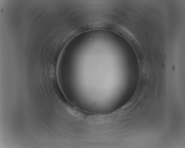 X0000073890025200608180945