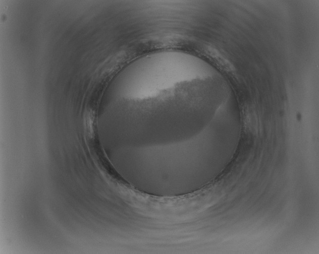 X0000073890026200608180945